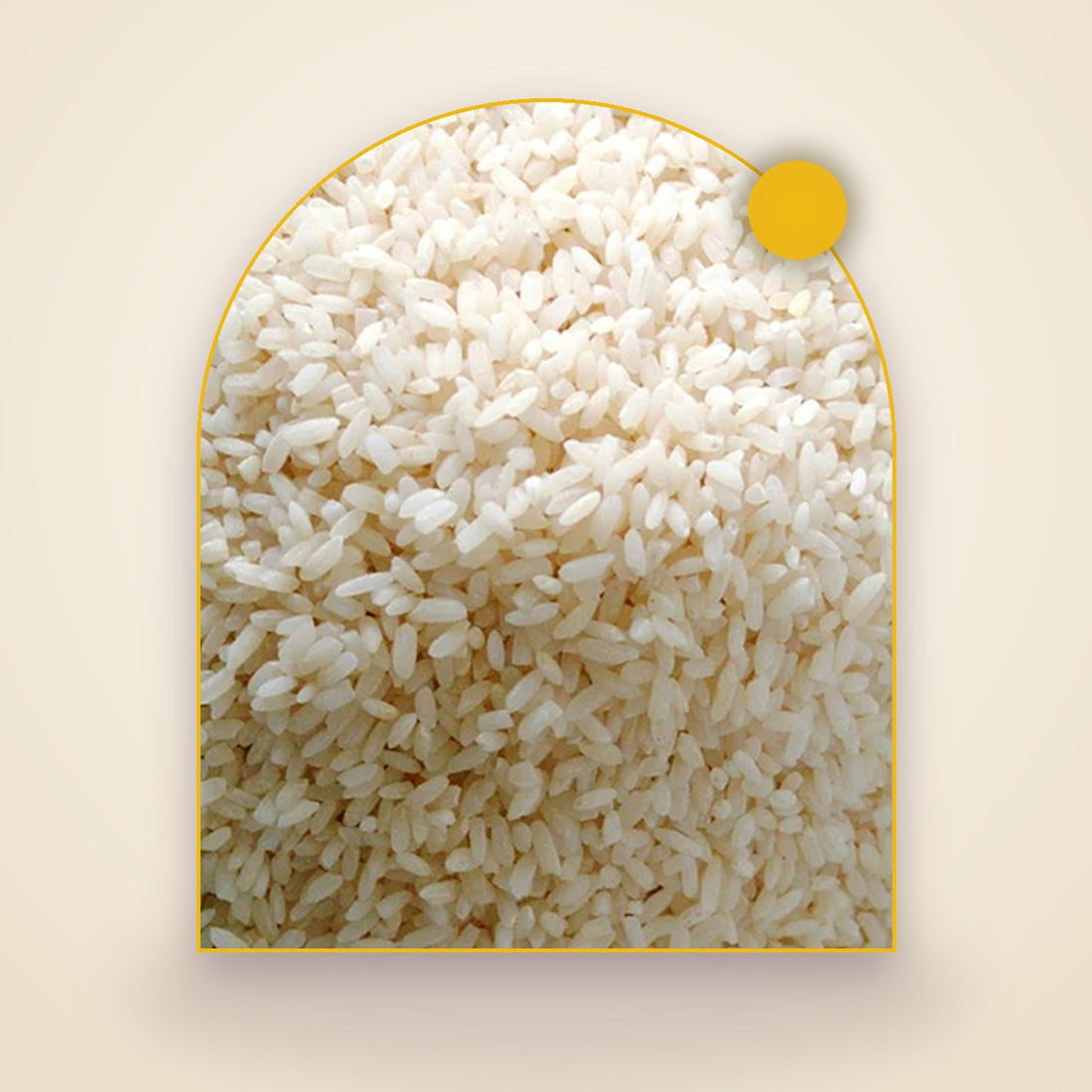 Seeragasamba Raw Rice