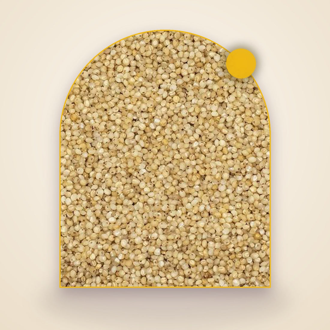Little Millet