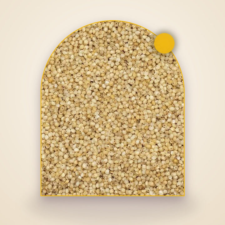 Little Millet