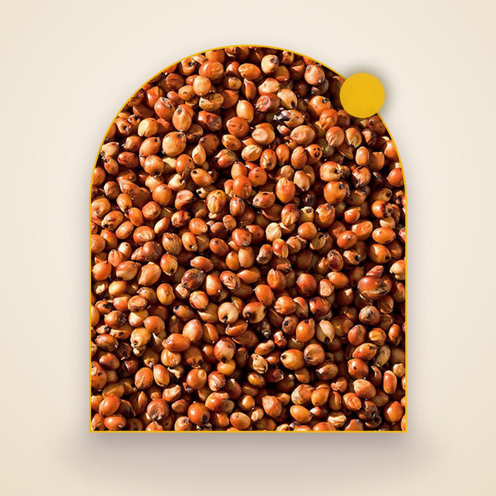 Red Sorghum