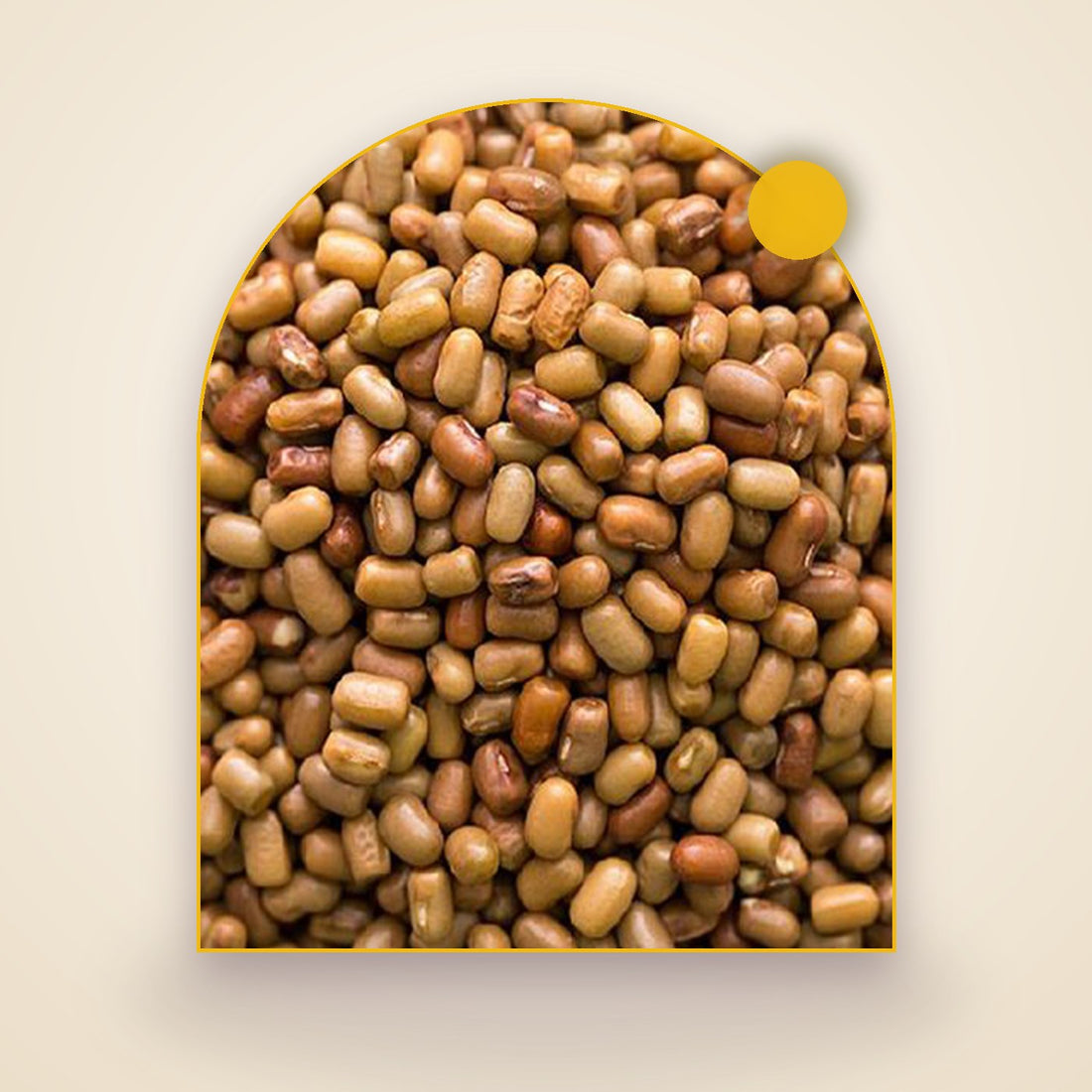 Moth Bean