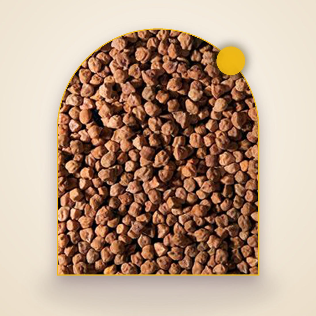 Chickpea
