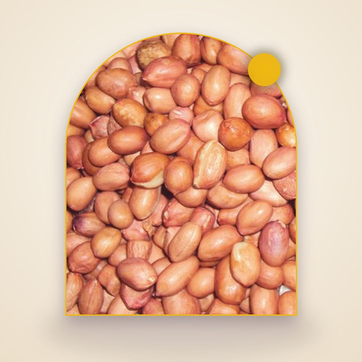 Groundnut