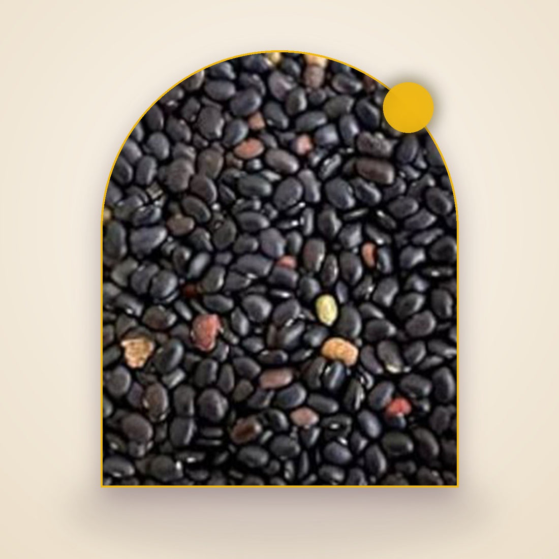 Black Horsegram