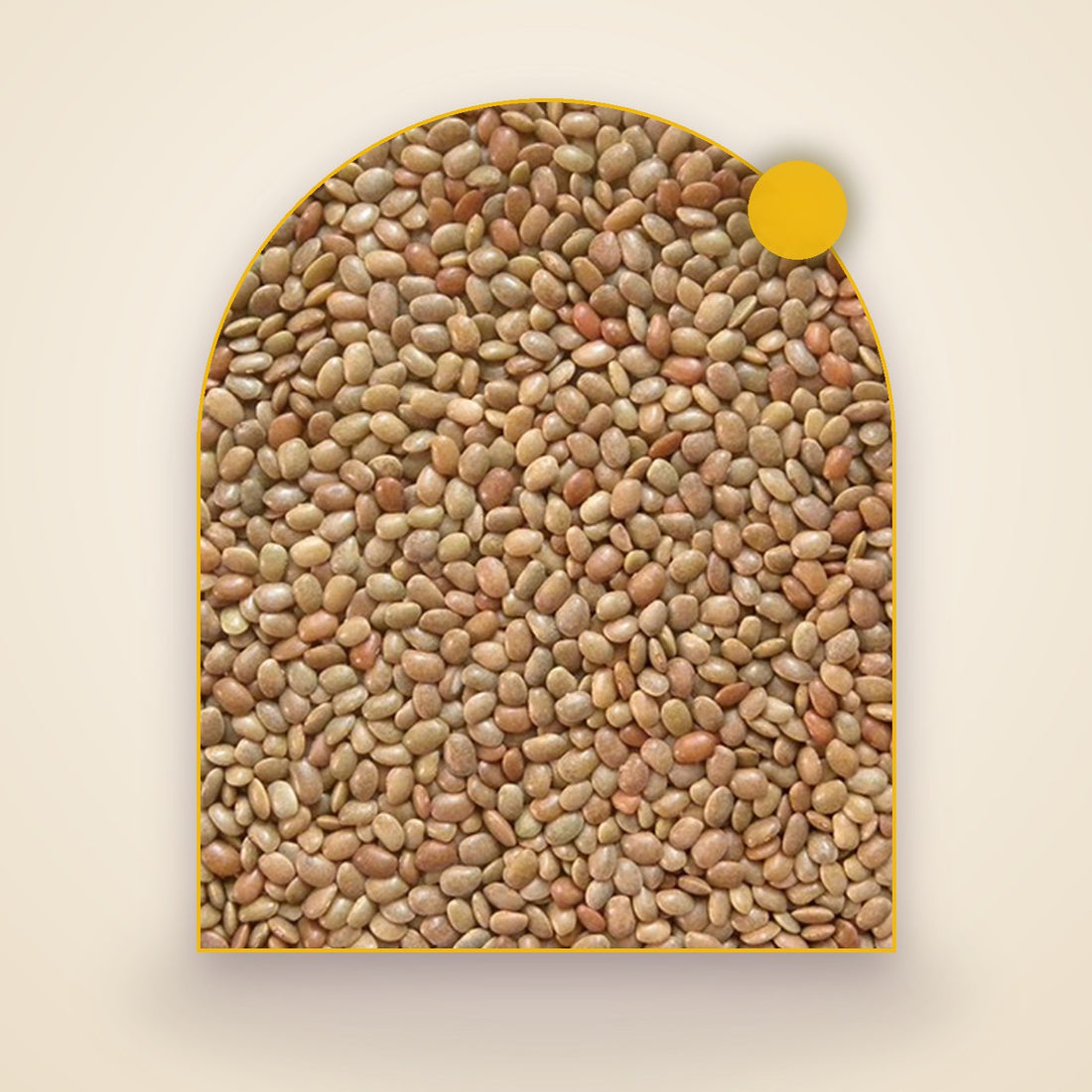 Red Horsegram