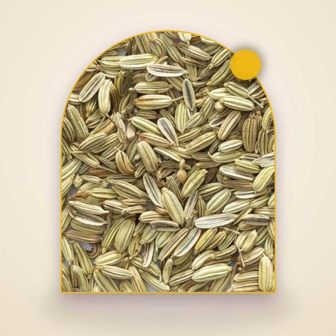 Fennel