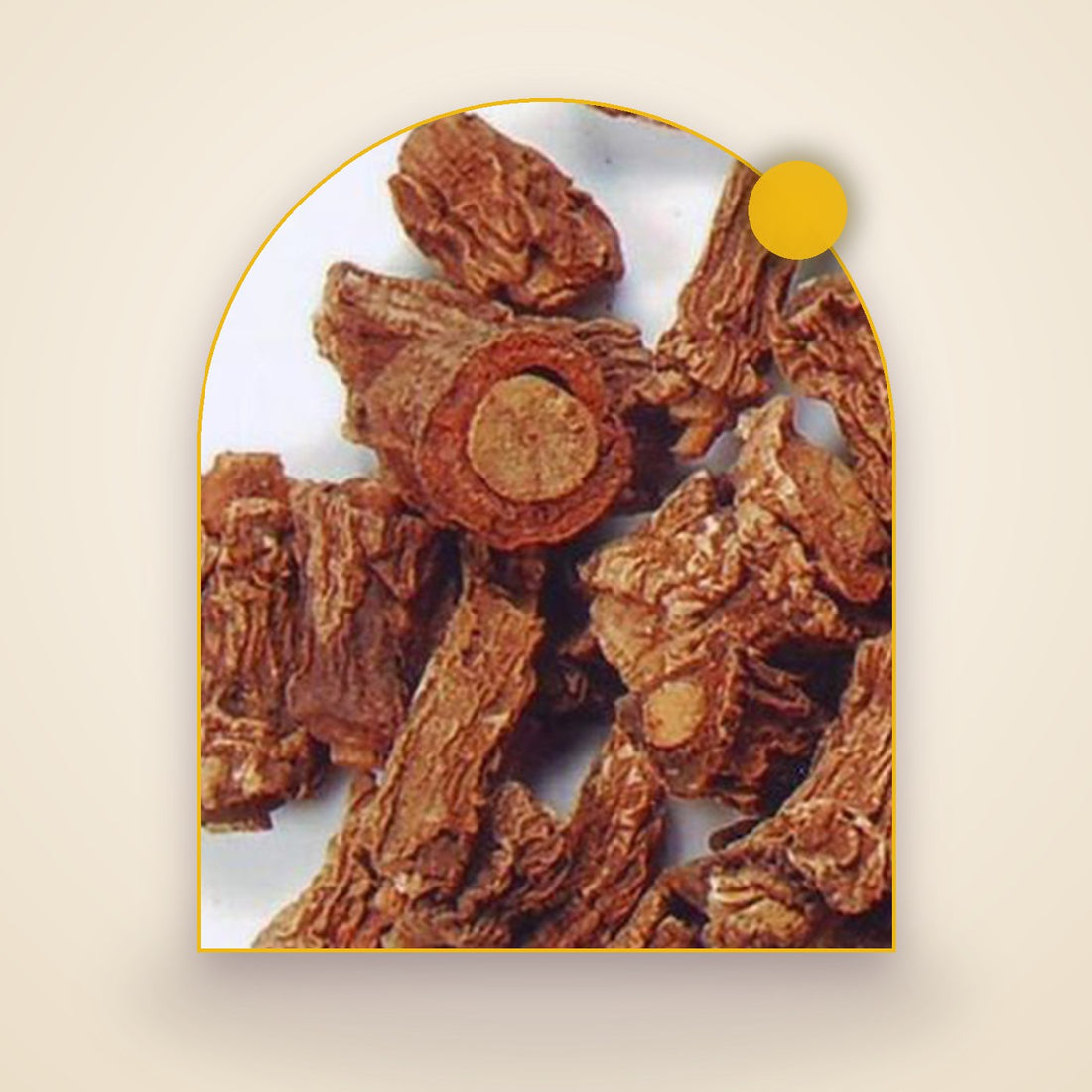 Sarsaparilla