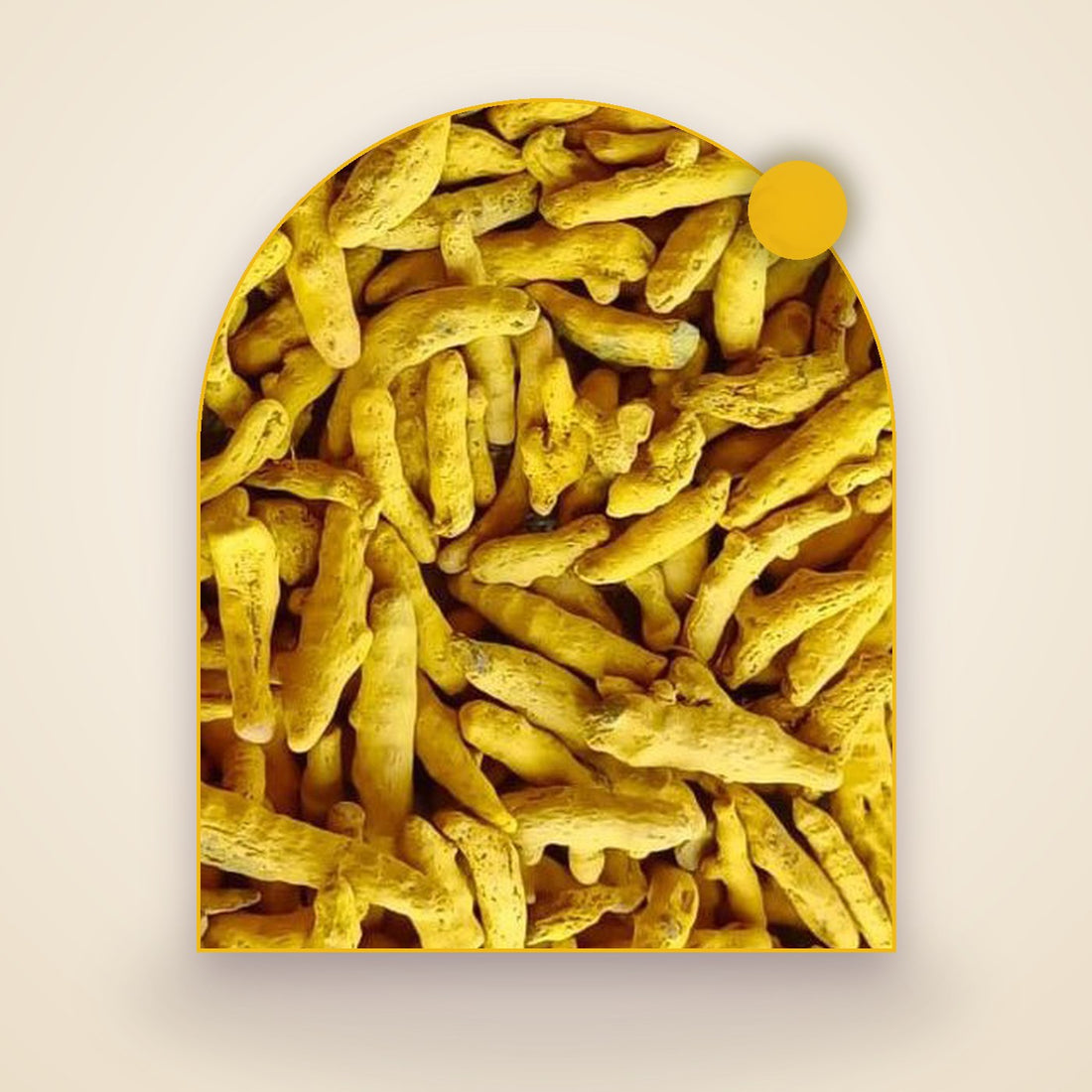 Finger Turmeric