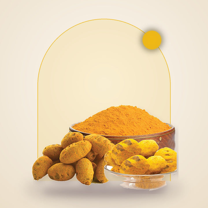 Bulb Turmeric